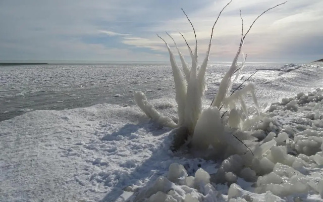 Bed & Breakfast De Leekerhoek