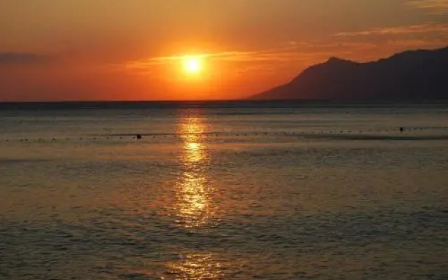 Palma Promajna Apartments