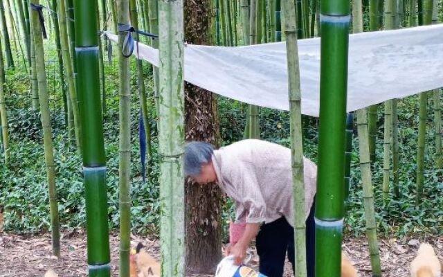 Jiushe Moganshan Banshan Forest Holiday Home