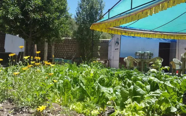 Skyland Guest House