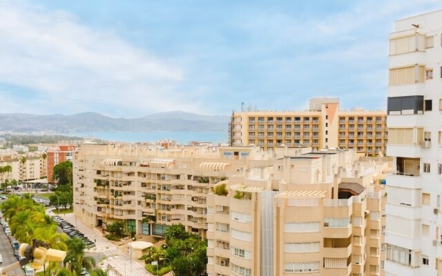 Palm Suite