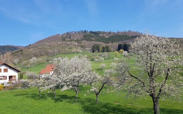 Le Breit Maison De Charme Avec Sa Dependance