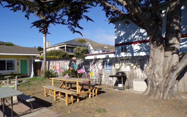 Cypress Tree Motel