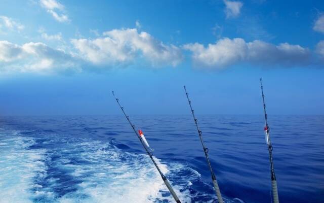 1380 Laurel Grove 3 Bedroom Home by RedAwning