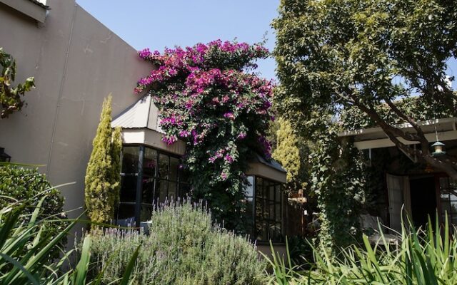 Town and Country Guest House