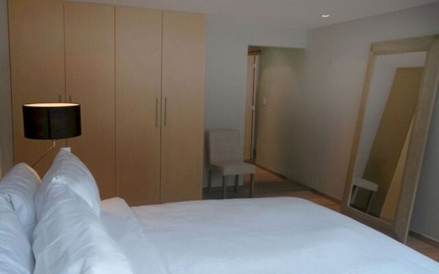 Polanco T40