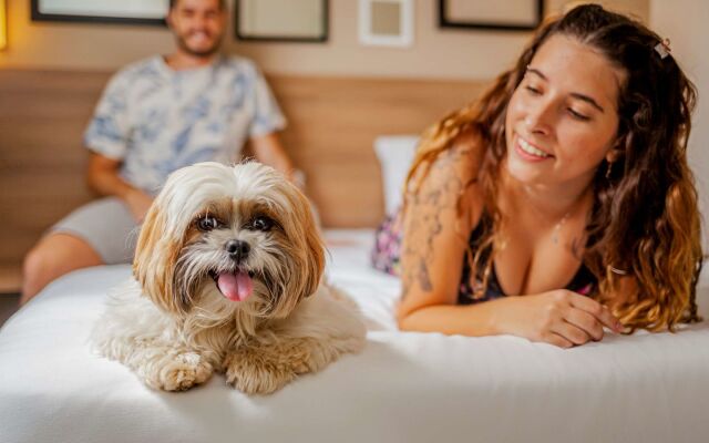 Golden Tower Express Braz Olaia