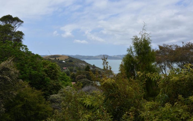 Treetops Cottage at the Castle – Outside – Whitianga