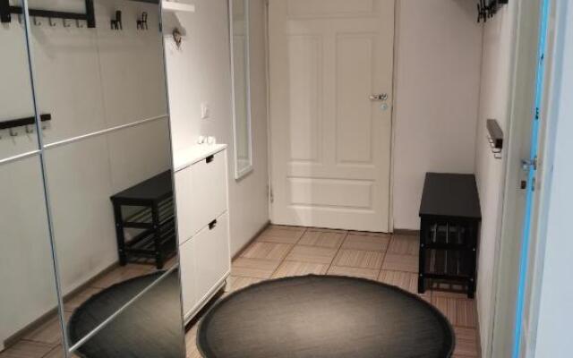 Scandinavian City Apartment