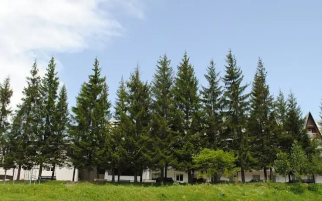 Bakuriani Resorts Hotel