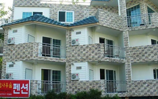 The Persimmon Tree Pension