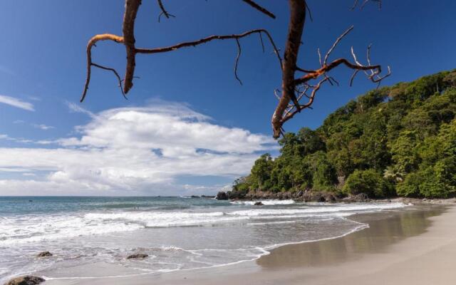 Arenas Del Mar Beachfront & Rainforest Member of the Cayuga Collection