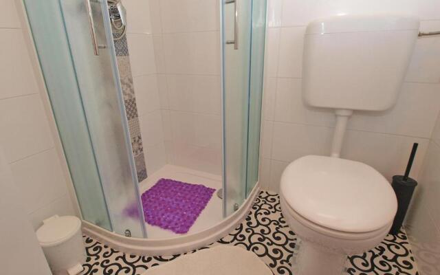 Apartments Dvigradska 1103