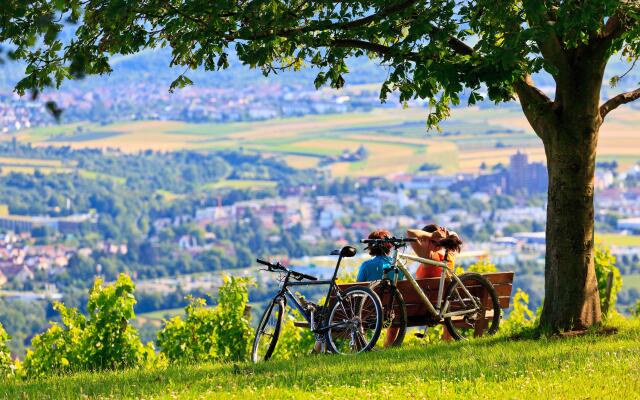 Holiday Inn Express Stuttgart - Waiblingen, an IHG Hotel