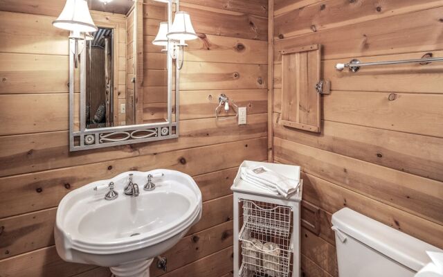 Mechem Dr Bear/Fox by VTrips