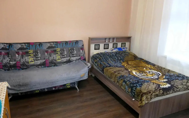 Апартаменты на улице 50 лет ВЛКСМ 38