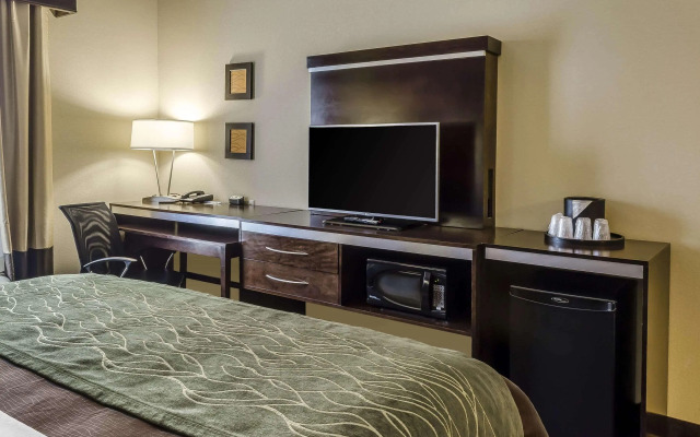 Comfort Inn & Suites Dothan East