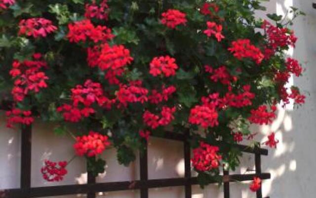 Apartamenty Alexa Old Town Kutno