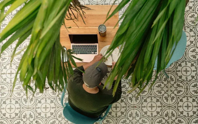 Wide Mouth Frog At Quepos
