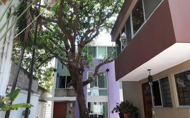 Casa Pinos V