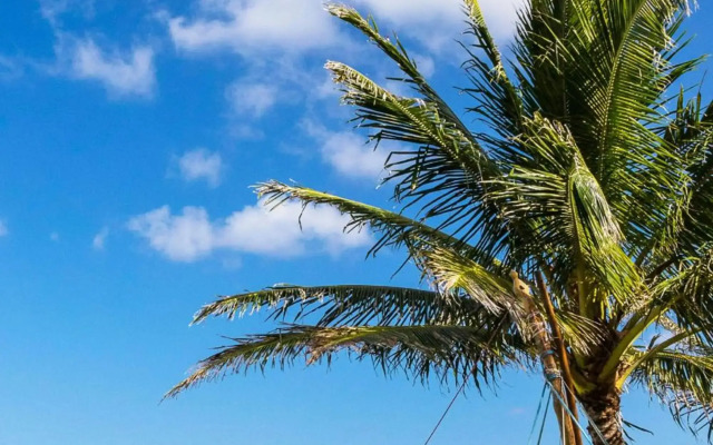 Residence Inn by Marriott Oahu Kapolei