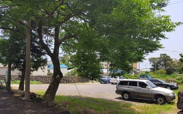 Domini's Local Style House