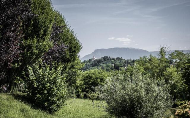 Terre Boscaratto