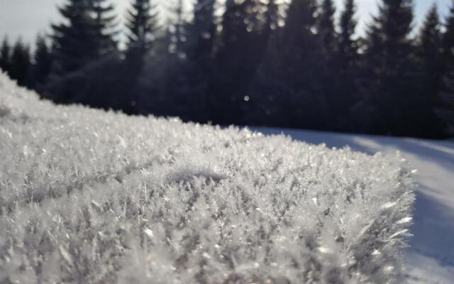 Chata Alpina a Kamenár