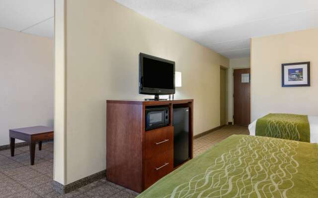 Comfort Inn Downtown