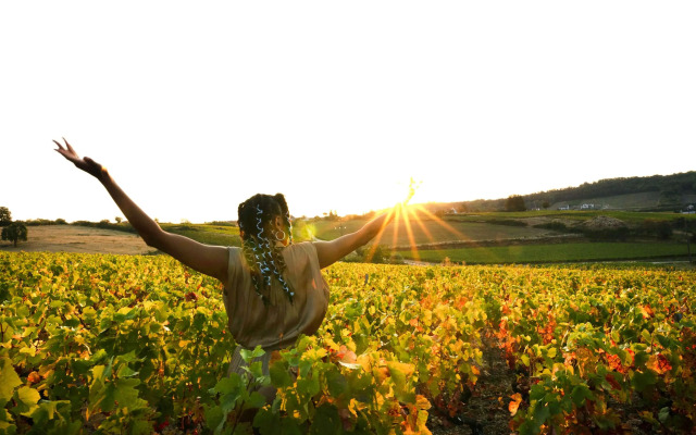 greet Hotel Reims Tinqueux