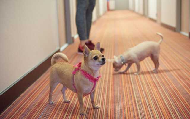 ACE Hôtel Creutzwald St Avold