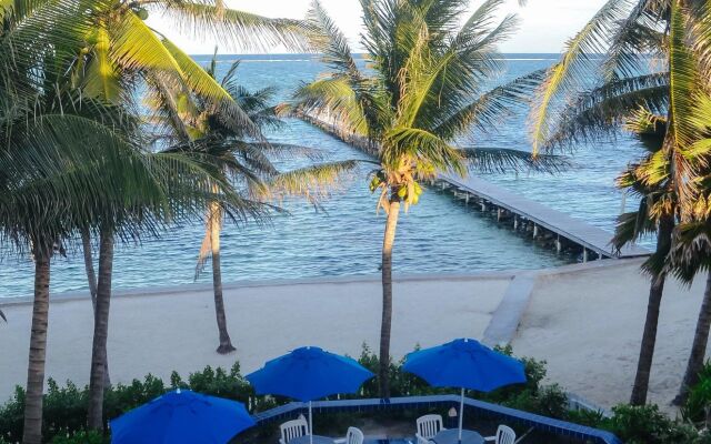 Blue Tang Inn