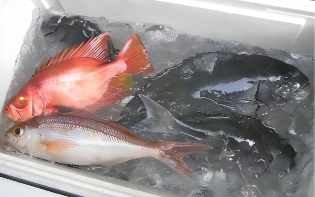 Pension Blue Marlin(Hachijojima)
