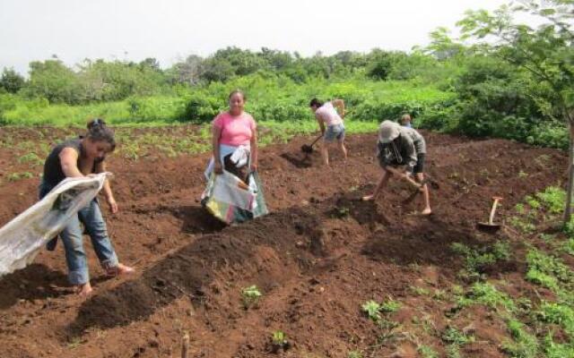 Finca Joco Mico - Nicaragua Farmstay And Adventures