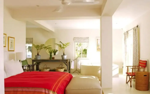 Aloe Corner Franschhoek