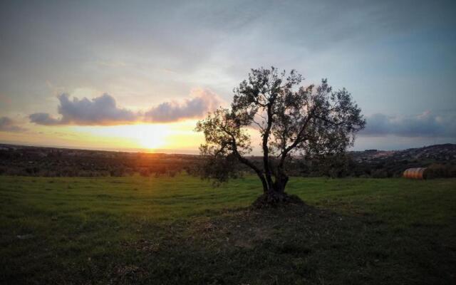Podere l'Agave