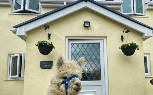 Saddlers Cottage, Berllandeg Farm