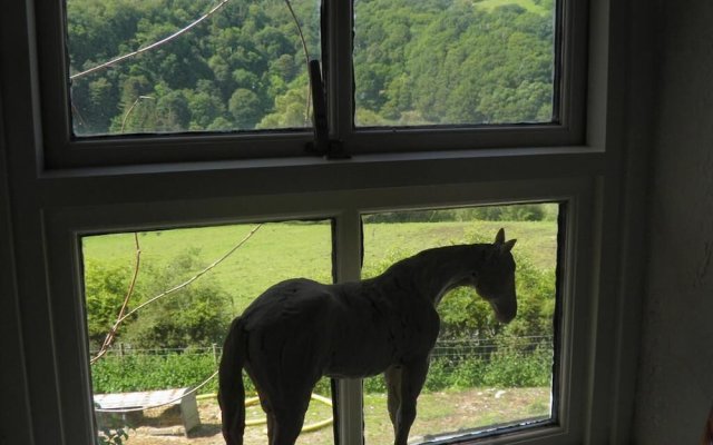Ty Coch Farm B and B