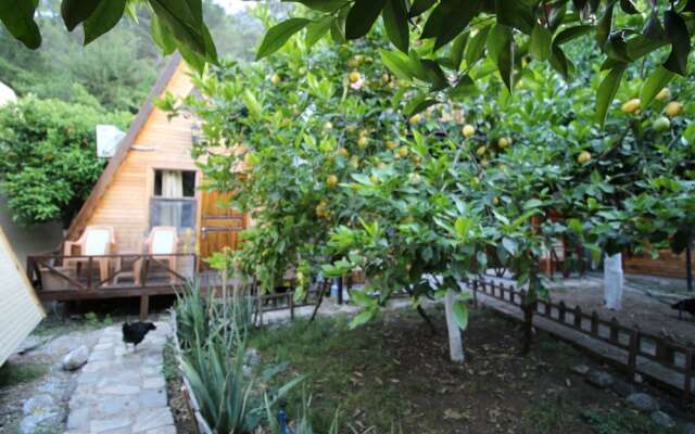 Oran Pansiyon Agac Evler