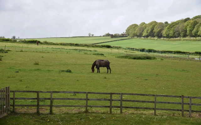 Lower Bryanston Farm