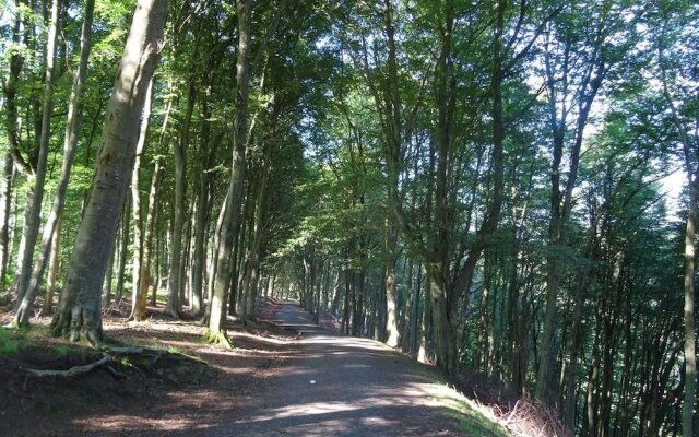 Rural Retreat 2 Miles From Perth, Pets Welcome