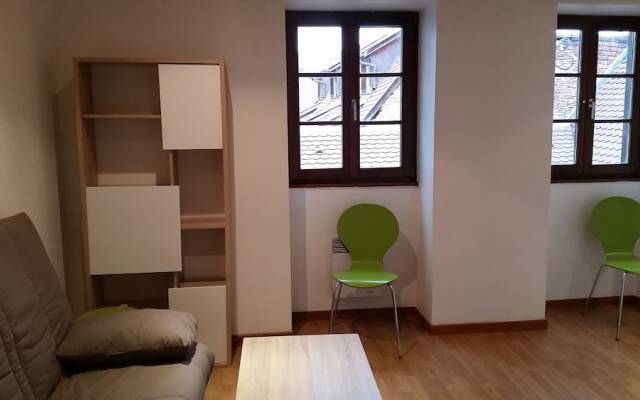 Appartement Les Tanneurs Colmar Le Green