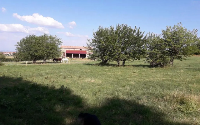 Ferme de la Combe - The Goldy's Farm