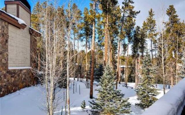 Saddlewood Iliff #41