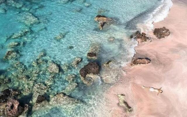 Luxurious Stone Apartment 2