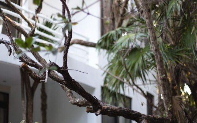 Casa Ambar Tulum