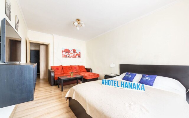 Apartment Hanaka on Kluchevaya 20