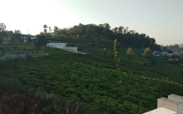 Mithun Hill View