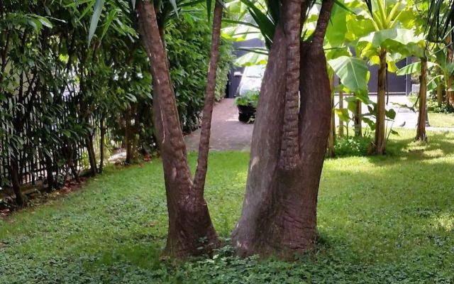 Il Giardino di Giulia 2