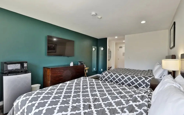 Renovated Studio #523